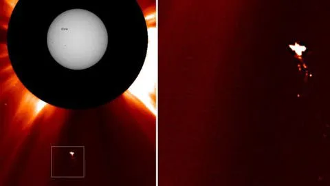 6981c1c4e9ff7130ea0a83d6