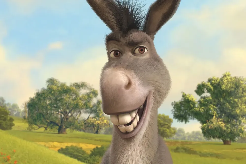 burro-ok